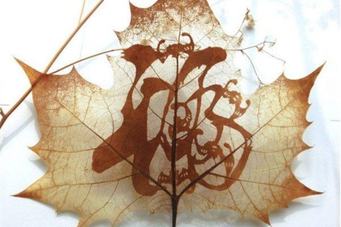 Marking leaf crafts