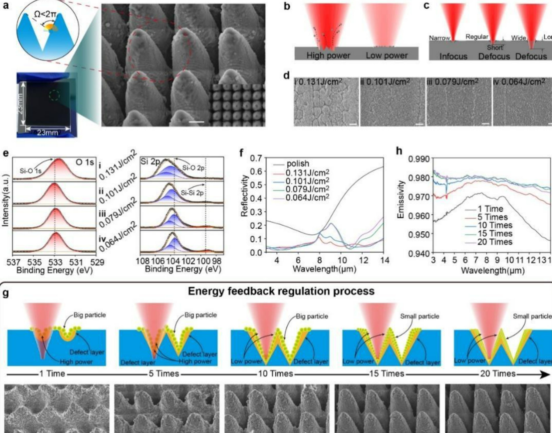 Femtosecond laser microstructure