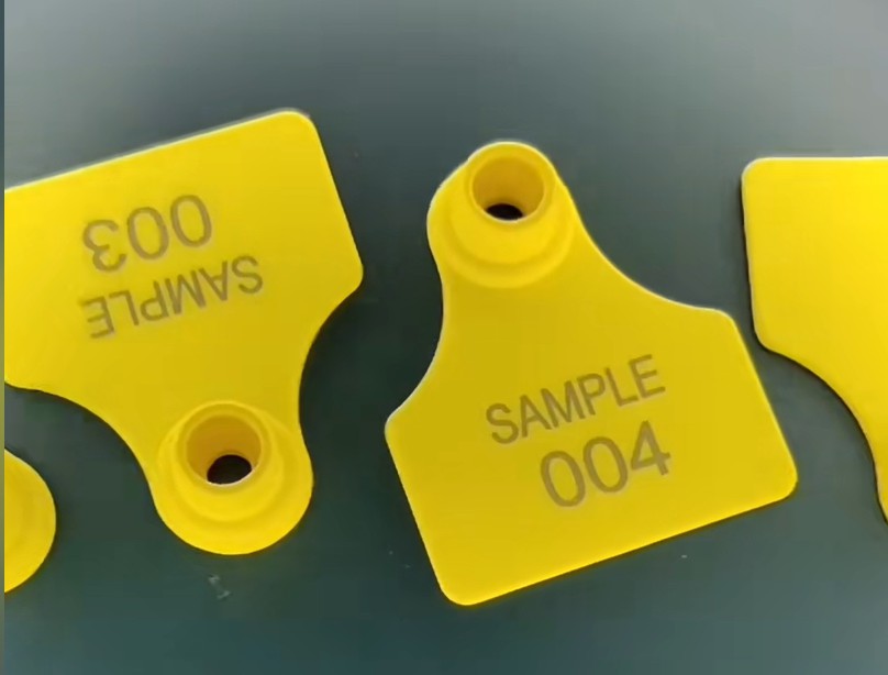 Ear tag engraving